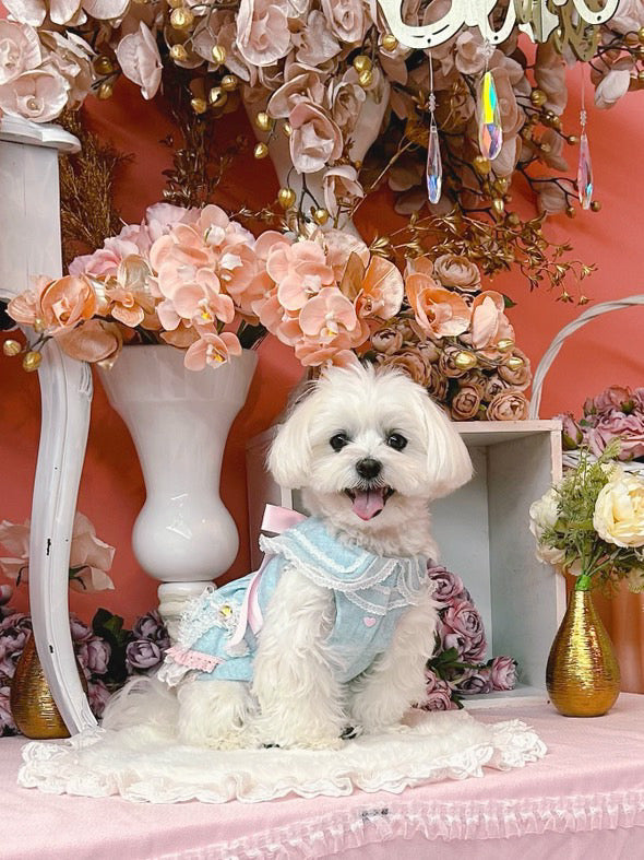 Elsamilu Romantic Blue Lace Bow Pet Dress – Elegant Outfit for Small Dogs & Cats