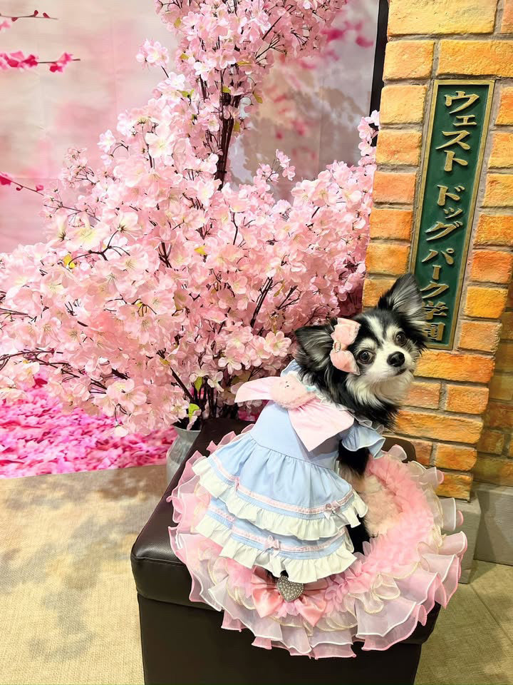 Elsamilu Girly Sailor Ribbon Pet Dress – Cute Outfit with Plush Bow for Small Dogs & Cats