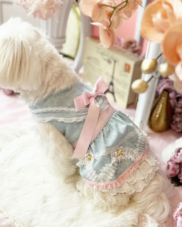 Elsamilu Romantic Blue Lace Bow Pet Dress – Elegant Outfit for Small Dogs & Cats