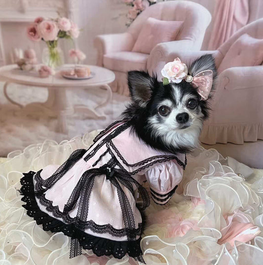 Elsamilu Gothic Romance Long Sleeve Pet Dress – Pink & Blue Lace Outfit for Small Dogs & Cats