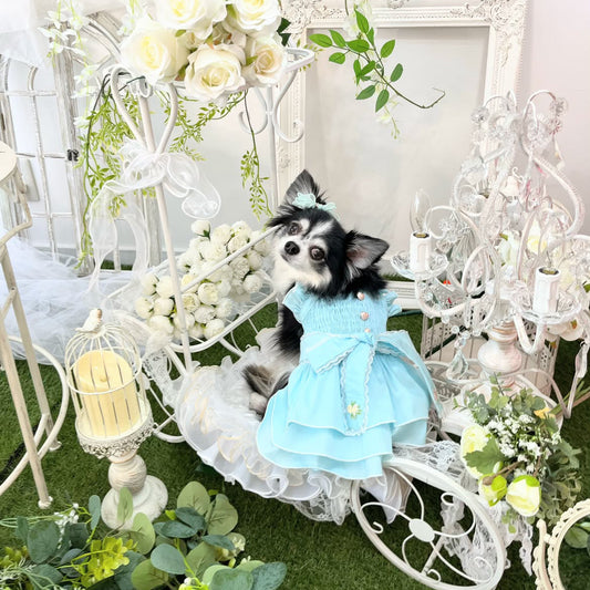 Elsamilu Sky Blue Frill Dress