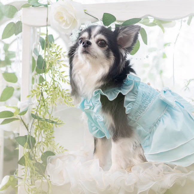 Elsamilu Sky Blue Frill Dress