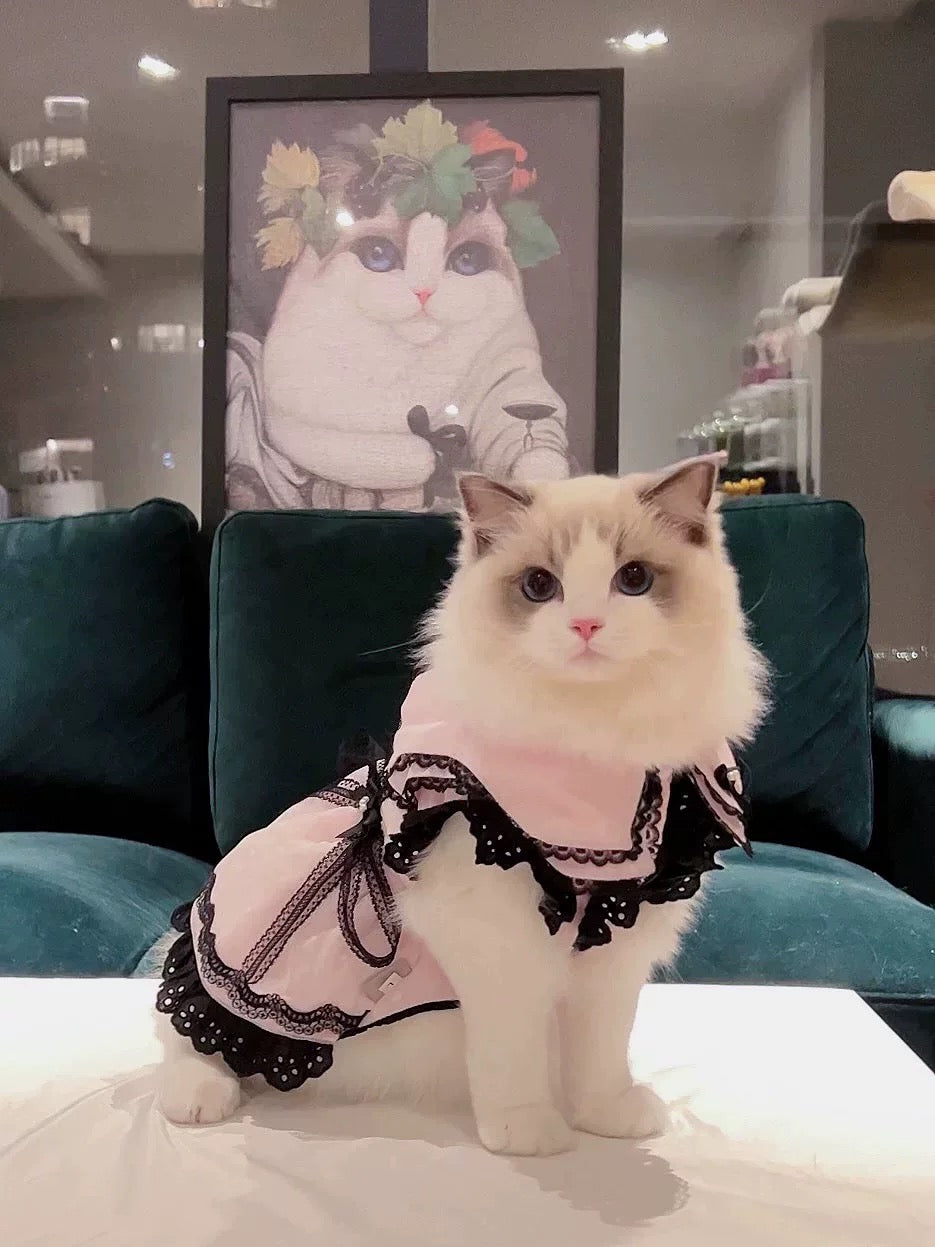 Elsamilu Gothic Lace Flutter Sleeve Pet Dress – Pink & Blue Romantic Outfit for Small Dogs & Cats