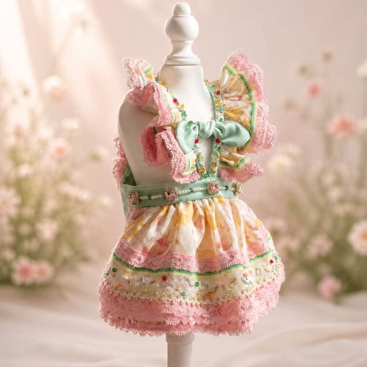 Elsamilu Flower Garden Lace Dog Dress – Pink & Mint