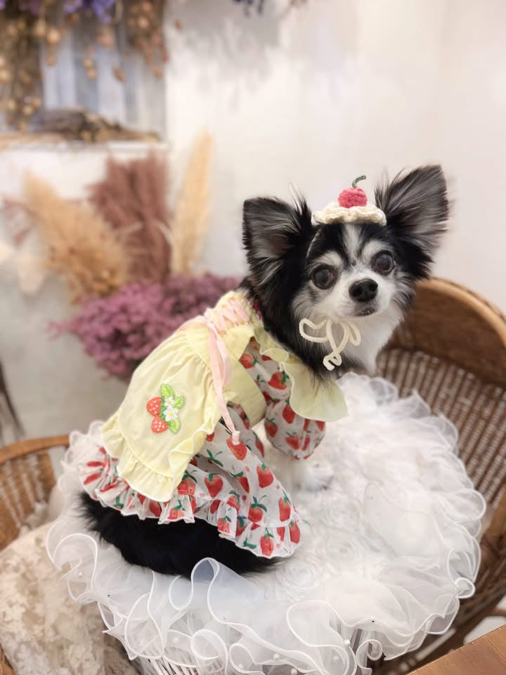 Elsamilu Sweet Strawberry Lace-Up Pet Dress – Cute Summer Outfit for Small Dogs & Cats
