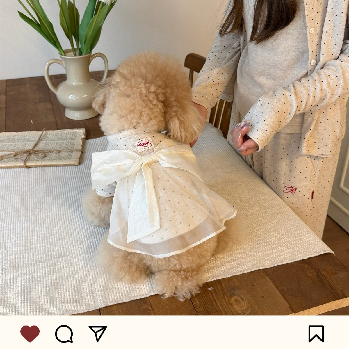 RoiRoi Cream Polka-Dot Back-Bow Pet Top