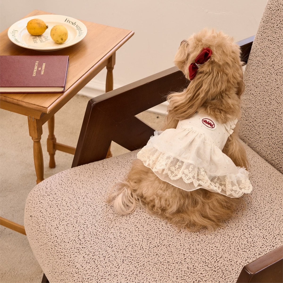 RoiRoi Sparkle-Dot Princess Tier Pet Skirt