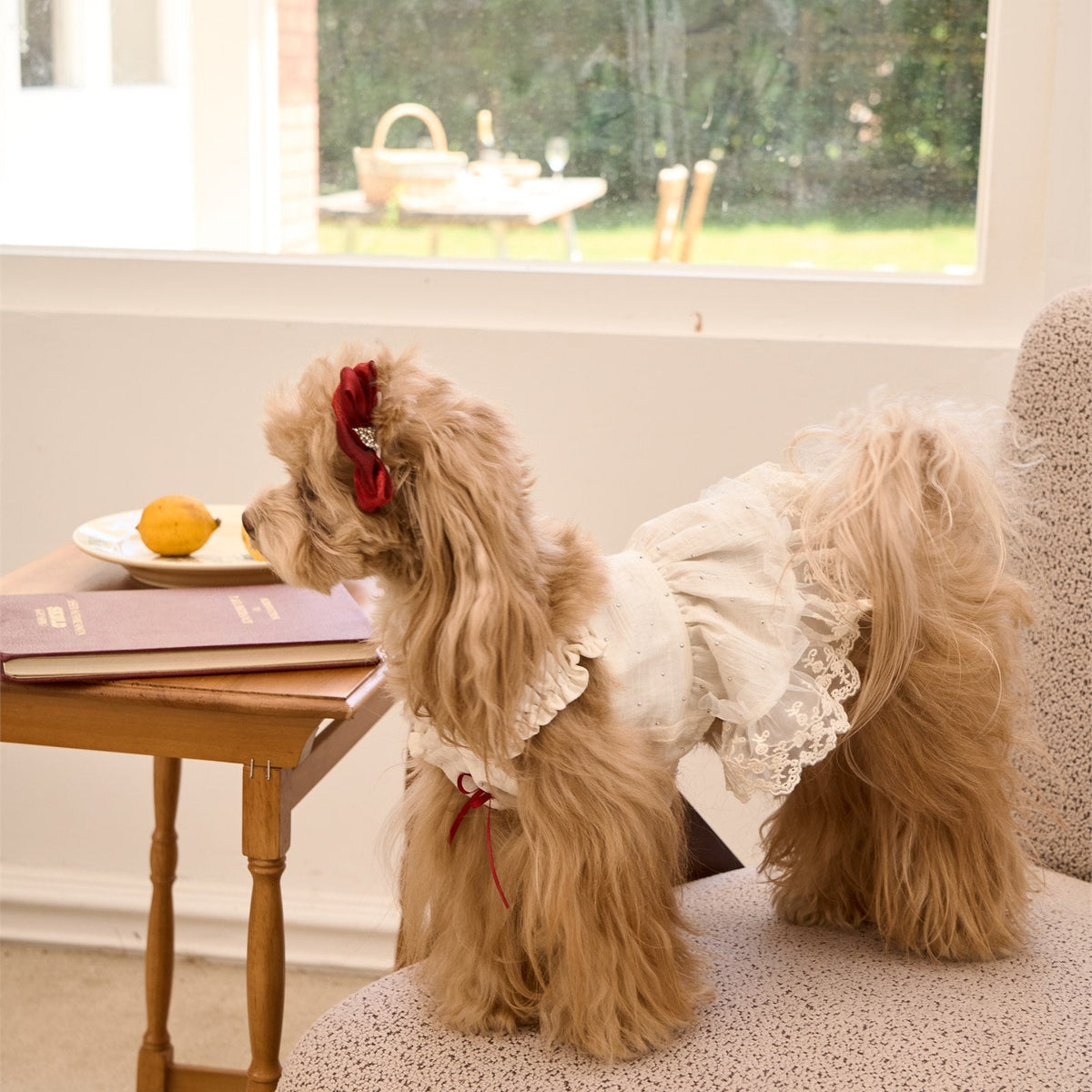 RoiRoi Sparkle-Dot Princess Tier Pet Skirt