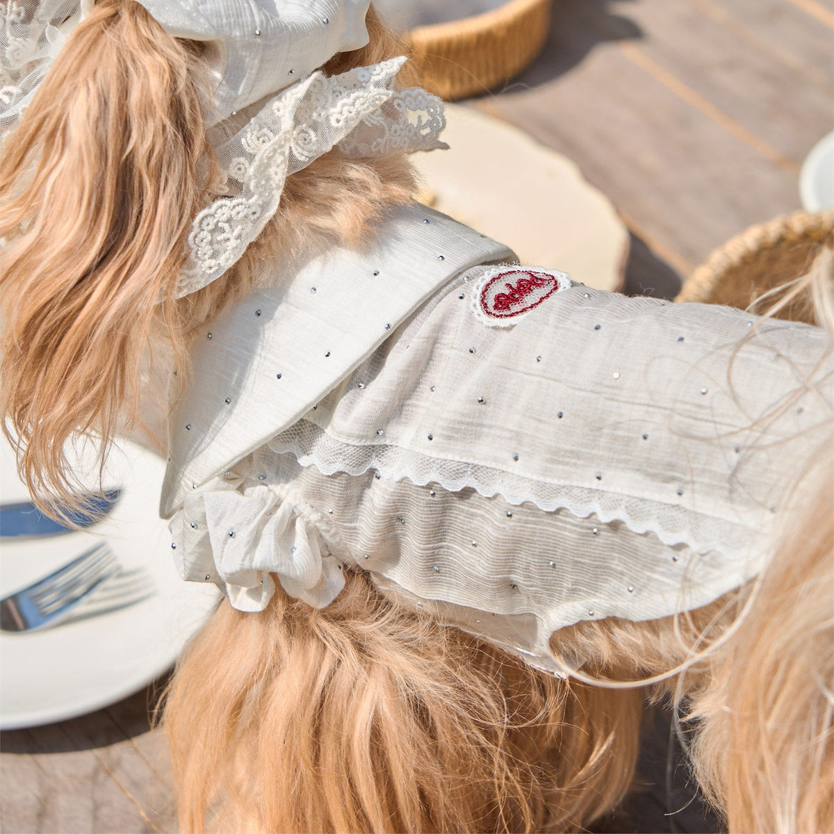 RoiRoi Red Bow Lace-Collar Academy Pet Shirt