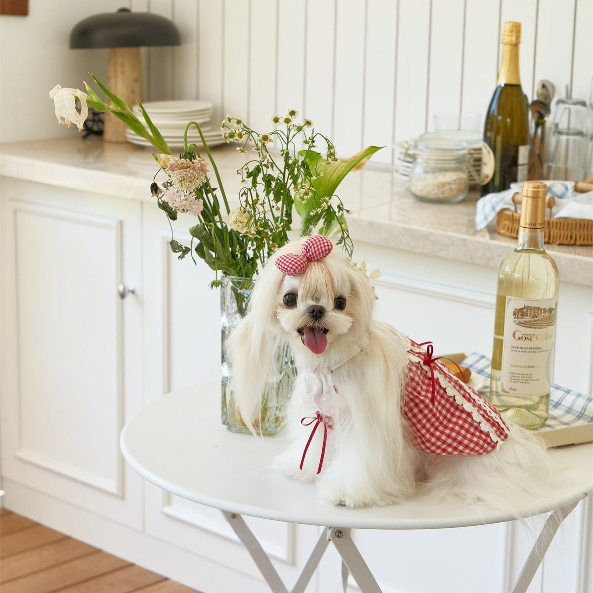 RoiRoi Red Gingham Lace Story Pet Dress