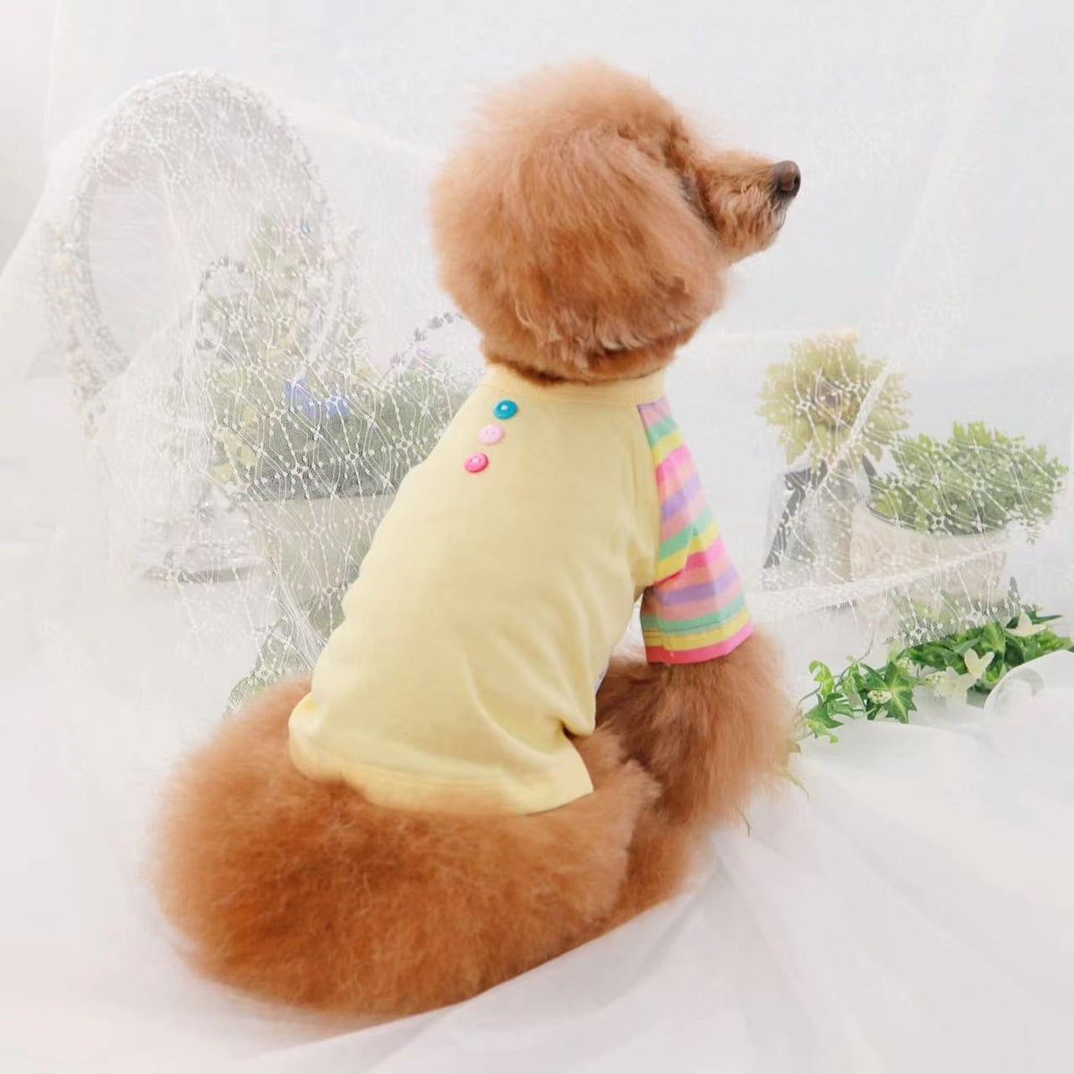 TaniWina Pet Clothing Contrast Color Rainbow Dog Shirt Pet Clothes for Small Dog