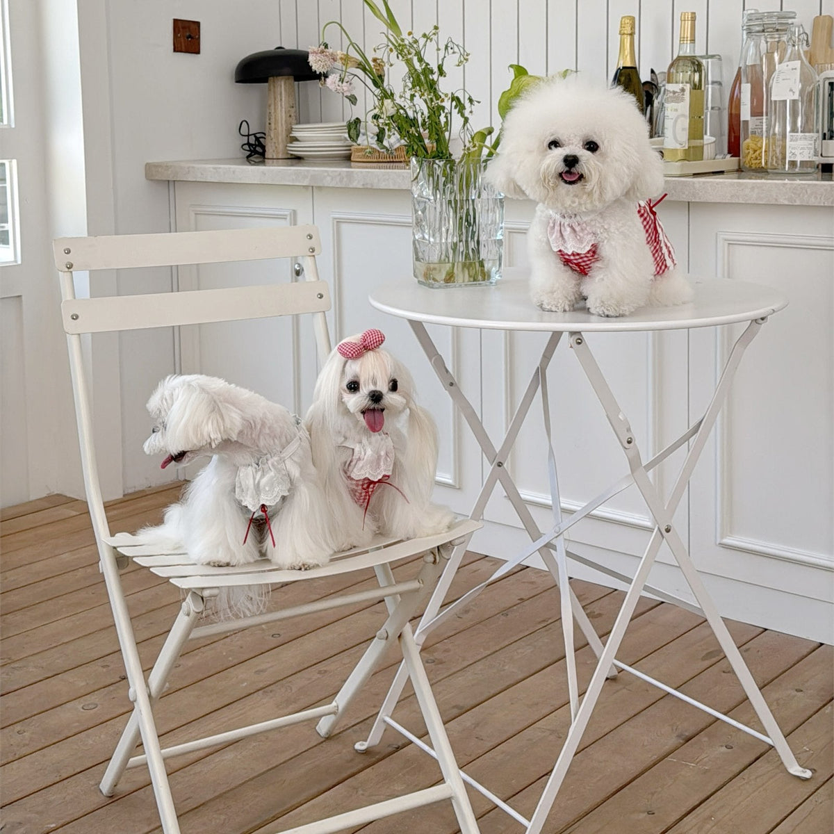 RoiRoi Red Gingham Lace Story Pet Dress