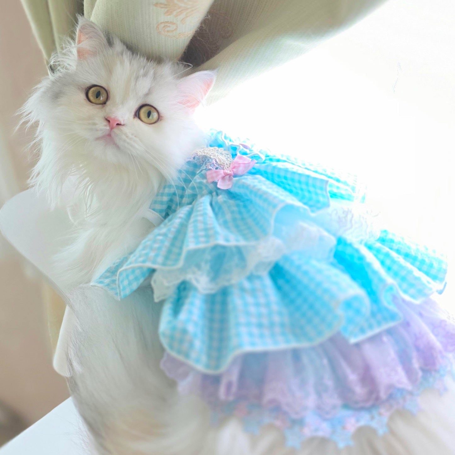 Elsamilu Blue Gingham Lace Princess Dress