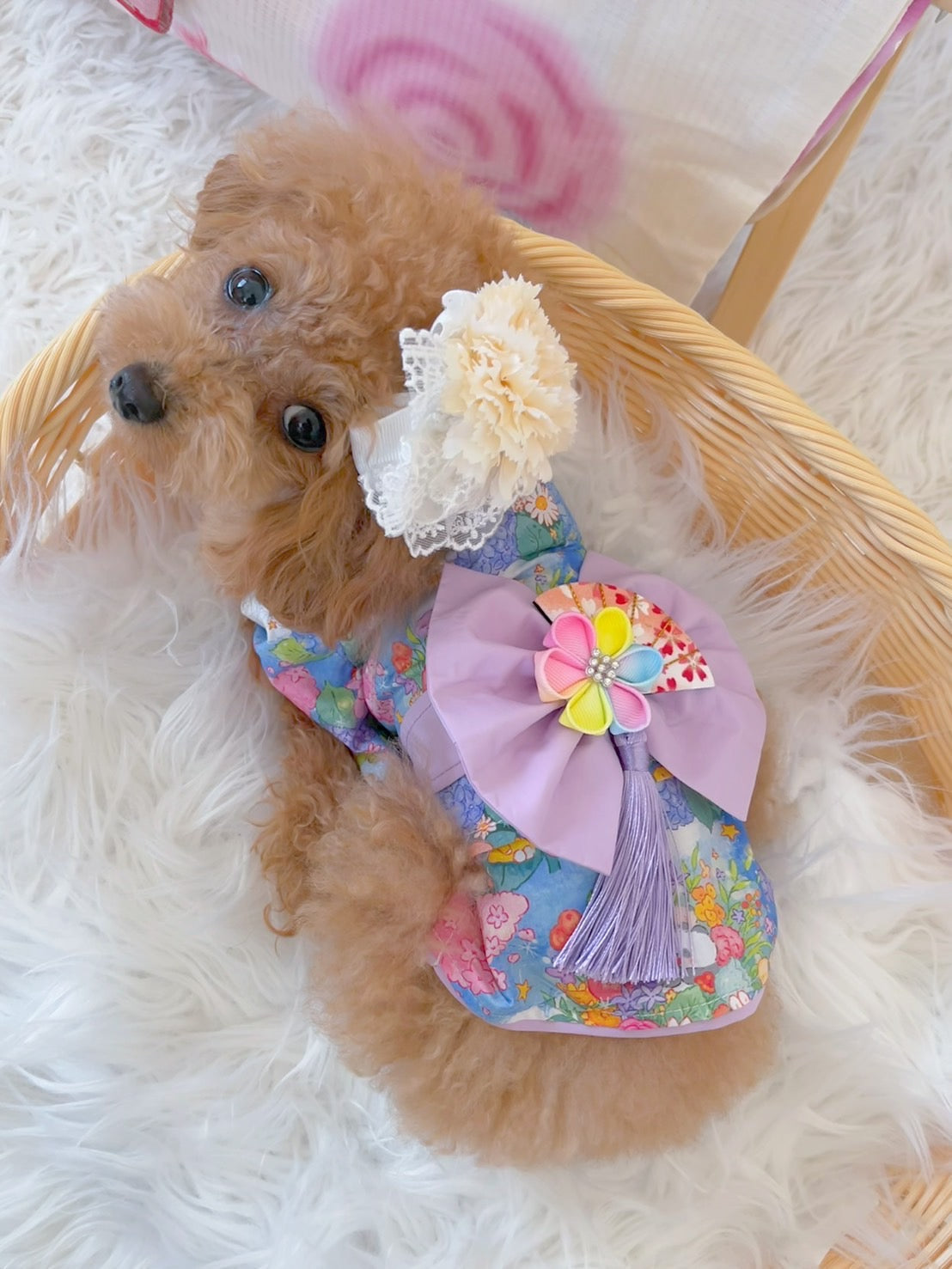 TaniWina Hydrangea Pattern Yukata for Small Dogs