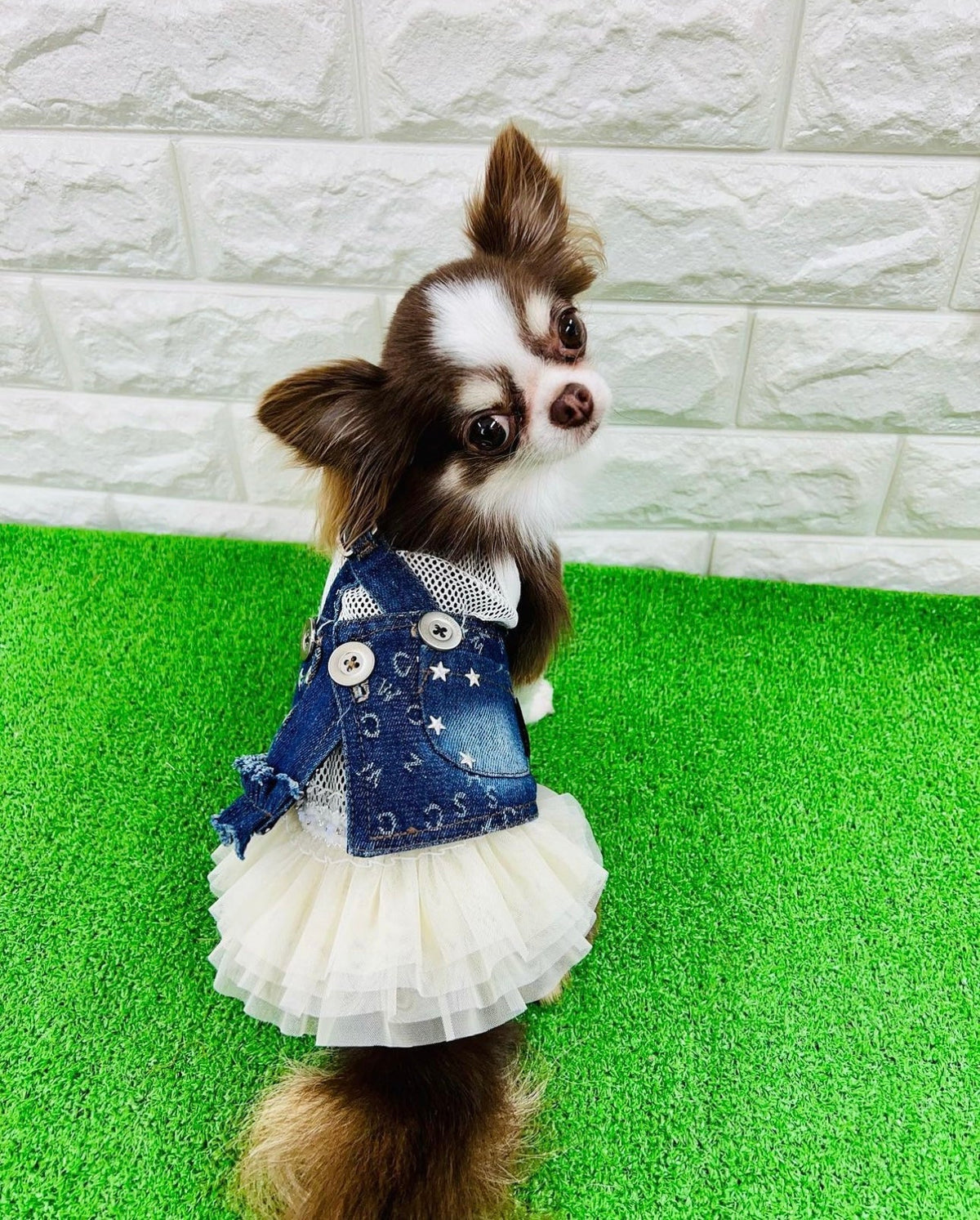 TaniWina Denim Pet Harness Dress: Elevate Your Furry Friend's Style