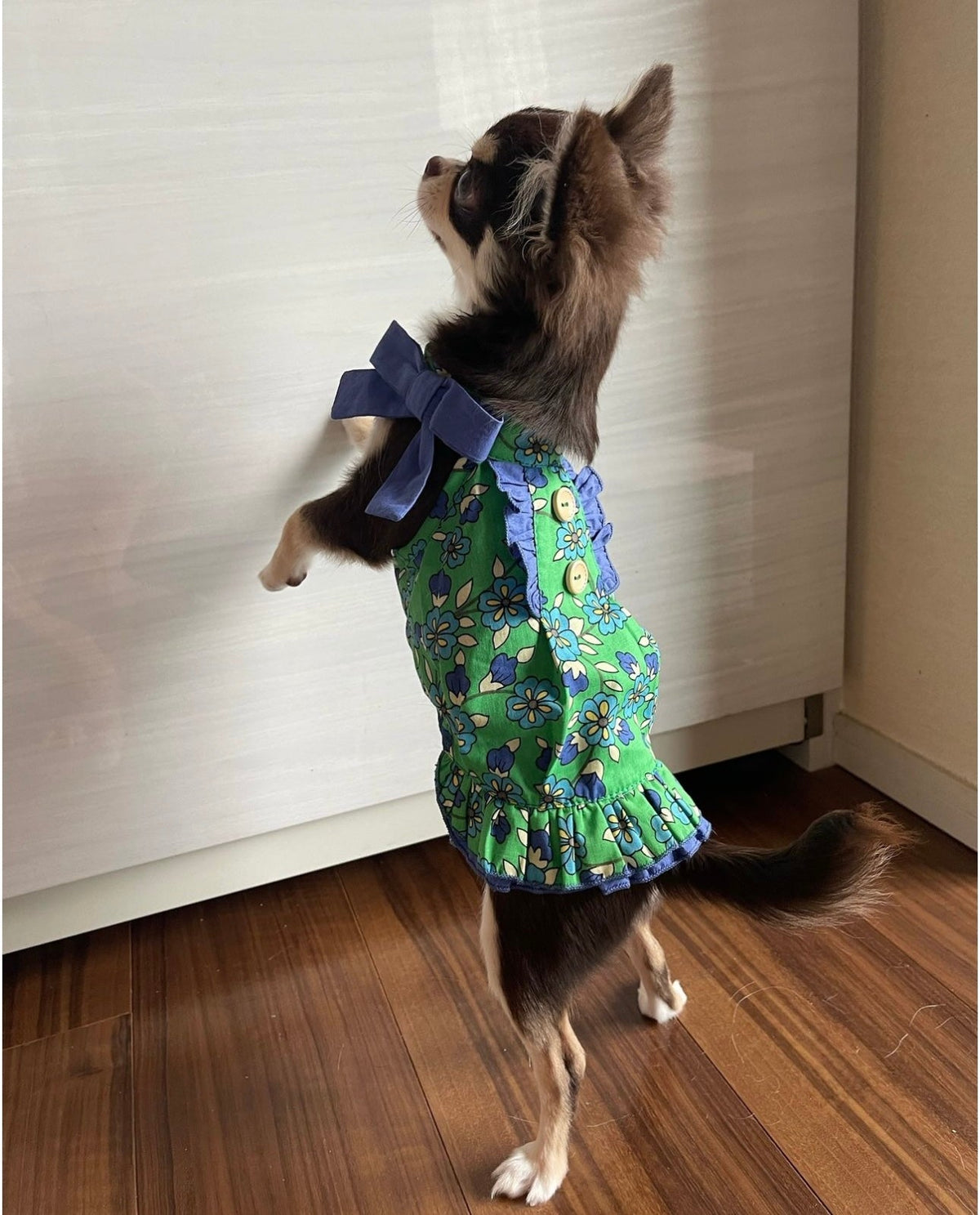 TaniWina Green Leaf Rose Collar Dress for Small Dog