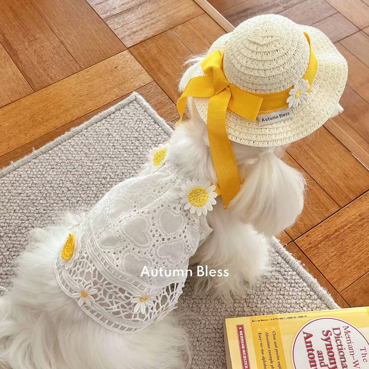 Autumn Bless レモンデイジー＆マリンピクニックワンピース | Lemon Daisy & Marine Picnic Dress