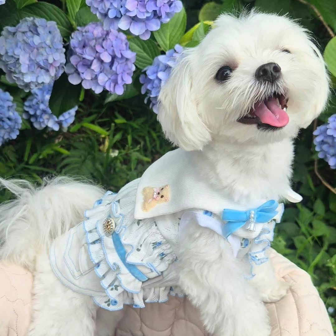 Elsamilu トゥインクルベア ペットドレス - 小型犬・猫用キュートなブルーの服