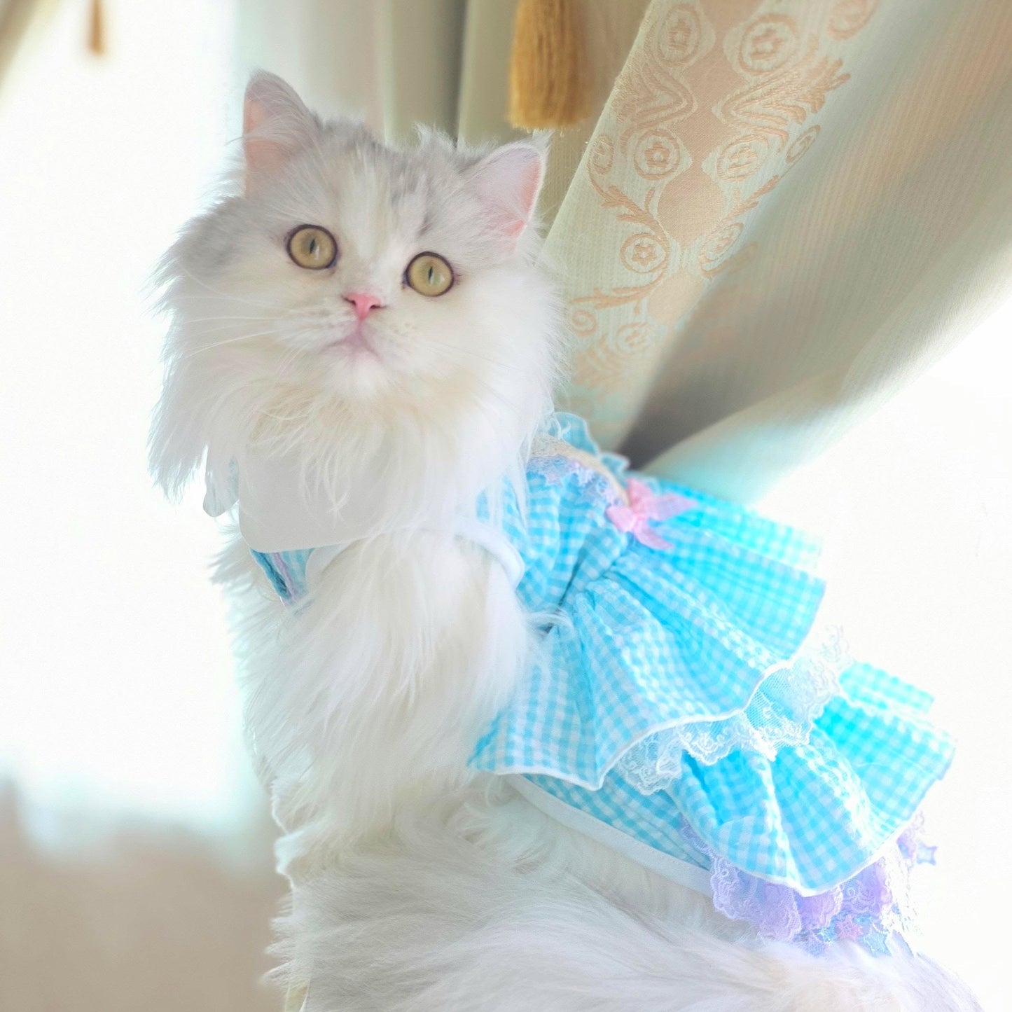 Elsamilu Blue Gingham Lace Princess Dress
