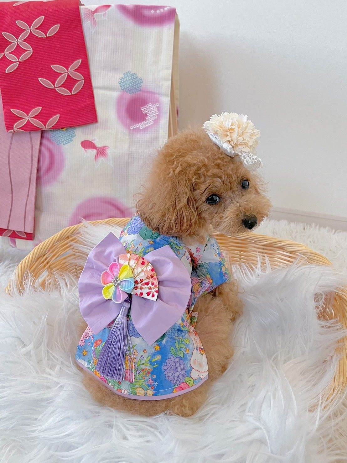 TaniWina Hydrangea Pattern Yukata for Small Dogs