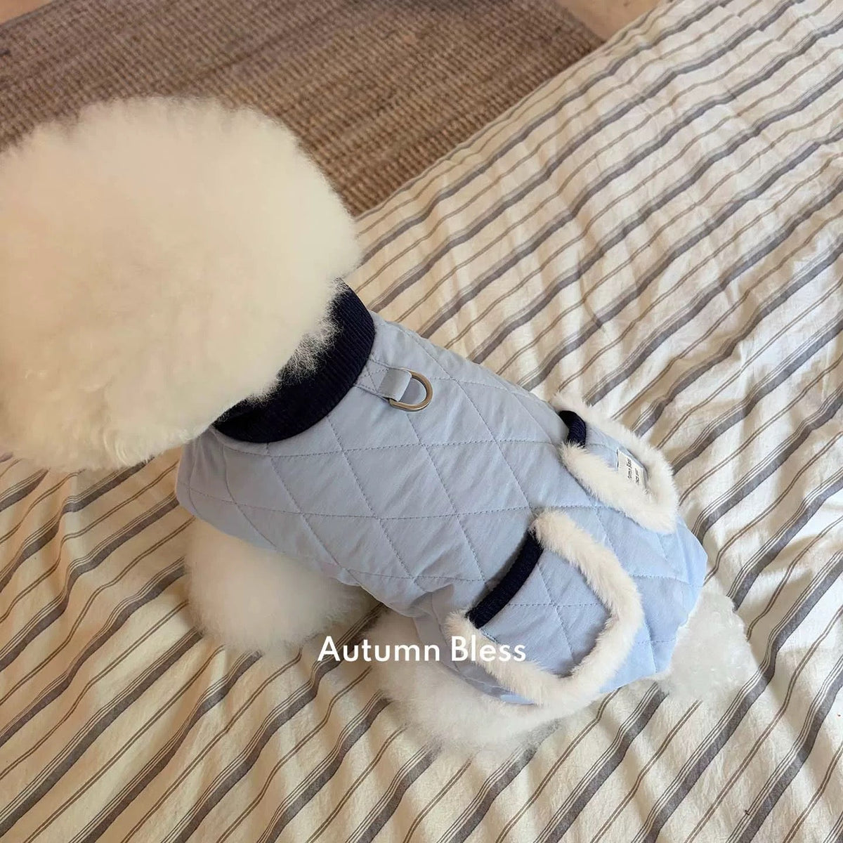 Autumn Bless ふわもこ冬あったかジャケット – テディ柄／キルティングブルー | Furry Cozy Winter Jacket – Teddy Print & Quilted Blue