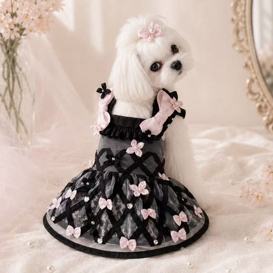 Elsamilu Blossom Ribbon Lace Dress – Black Edition
