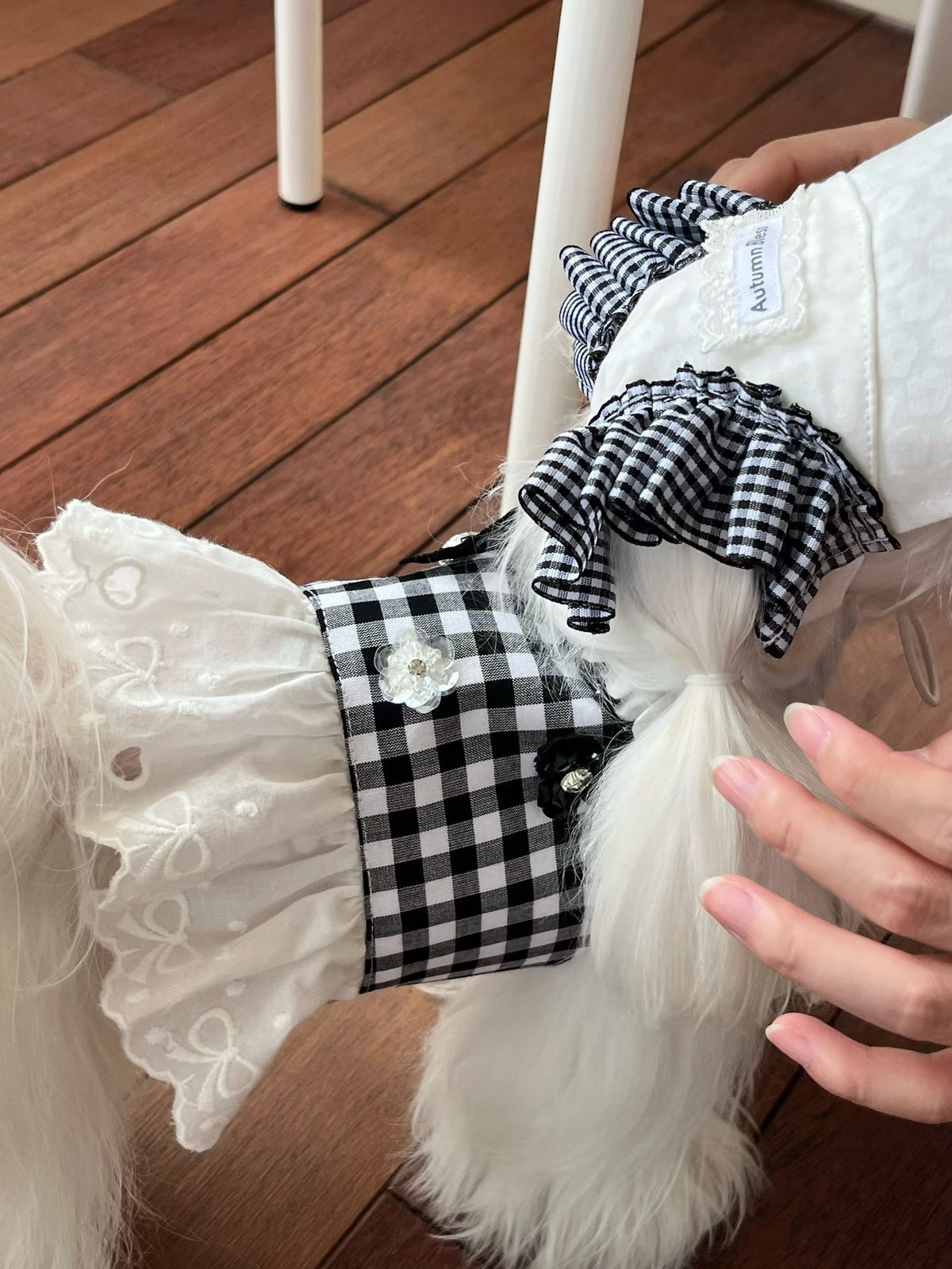 Autumn Bless チェックリボンキャップ＆レースリード | Checkered Ribbon Cap & Lace Leash