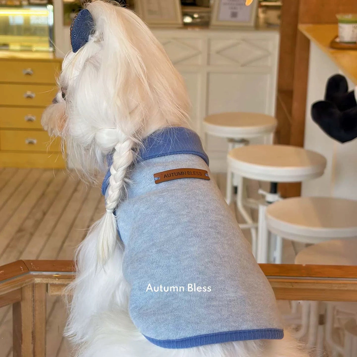 Autumn Bless やわらかウール調 ボンディングニット | Soft Wool-Blend Bonded Knit Sweater