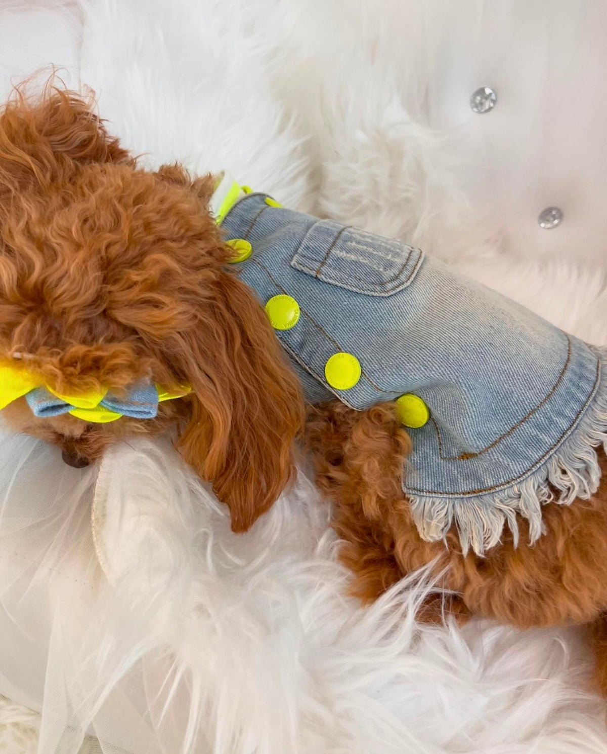 TaniWina Fluorescent Fido Denim Dress Pet Clothes for small dog
