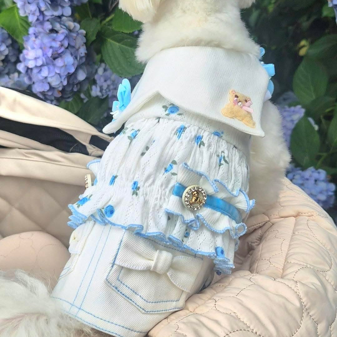 Elsamilu トゥインクルベア ペットドレス - 小型犬・猫用キュートなブルーの服
