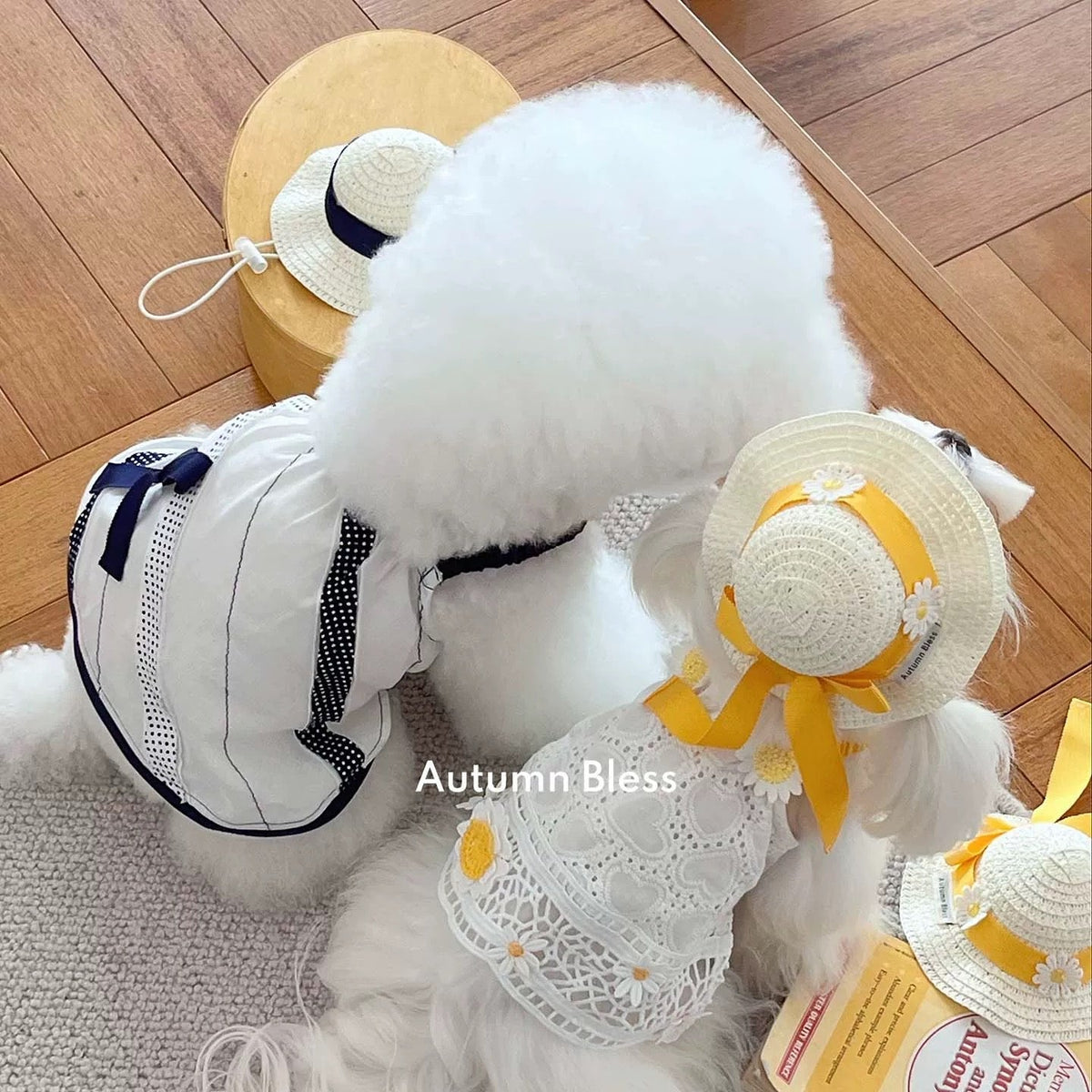 Autumn Bless レモンデイジー＆マリンピクニックワンピース | Lemon Daisy & Marine Picnic Dress