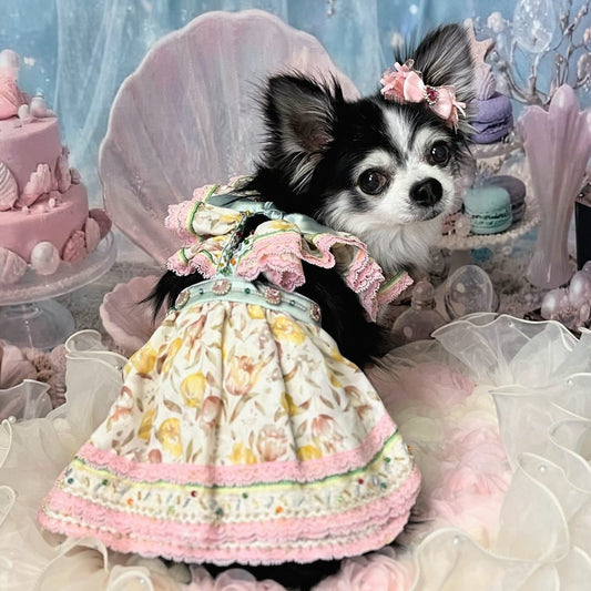 Elsamilu Flower Garden Lace Dog Dress – Pink & Mint