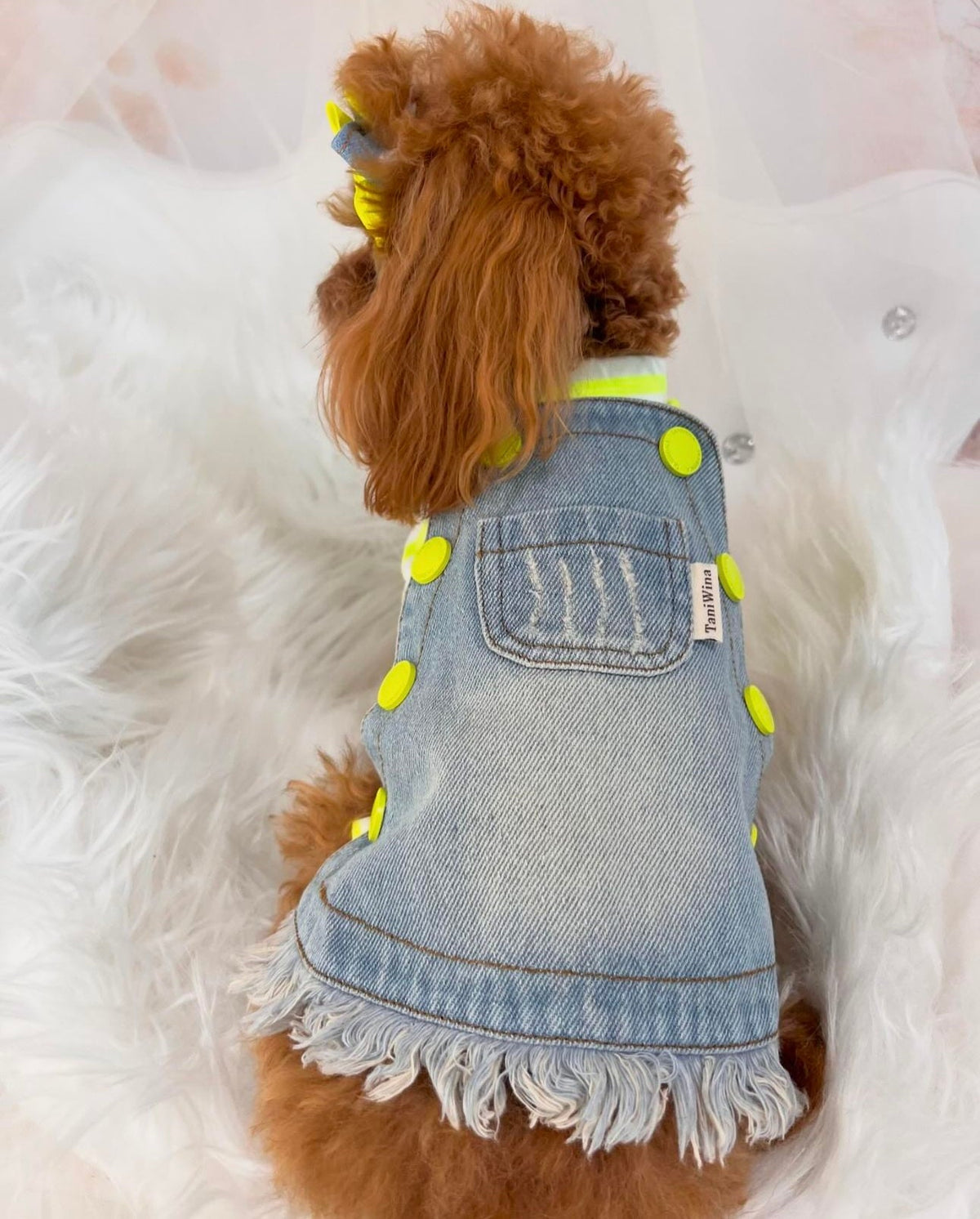 TaniWina Fluorescent Fido Denim Dress Pet Clothes for small dog