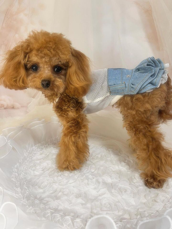 TaniWina PawDenim Petite Pup Inner Dress: Stylish Comfort for Small Dogs