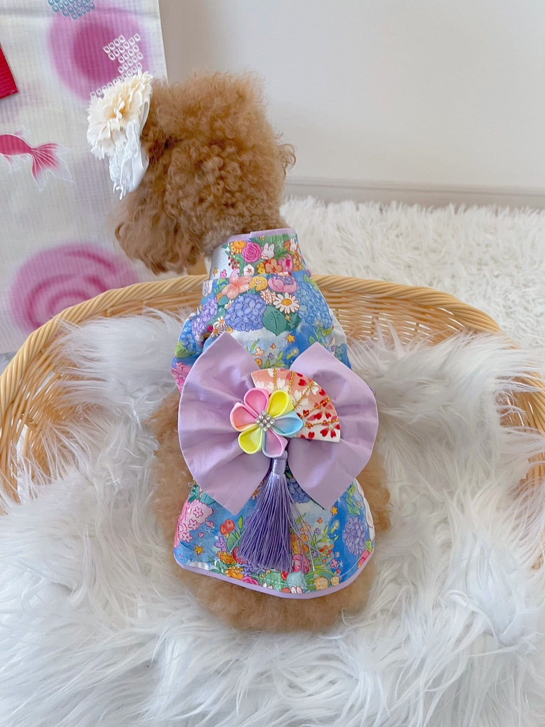 TaniWina Hydrangea Pattern Yukata for Small Dogs