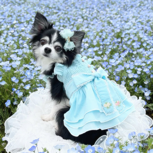 Elsamilu Sky Blue Frill Dress