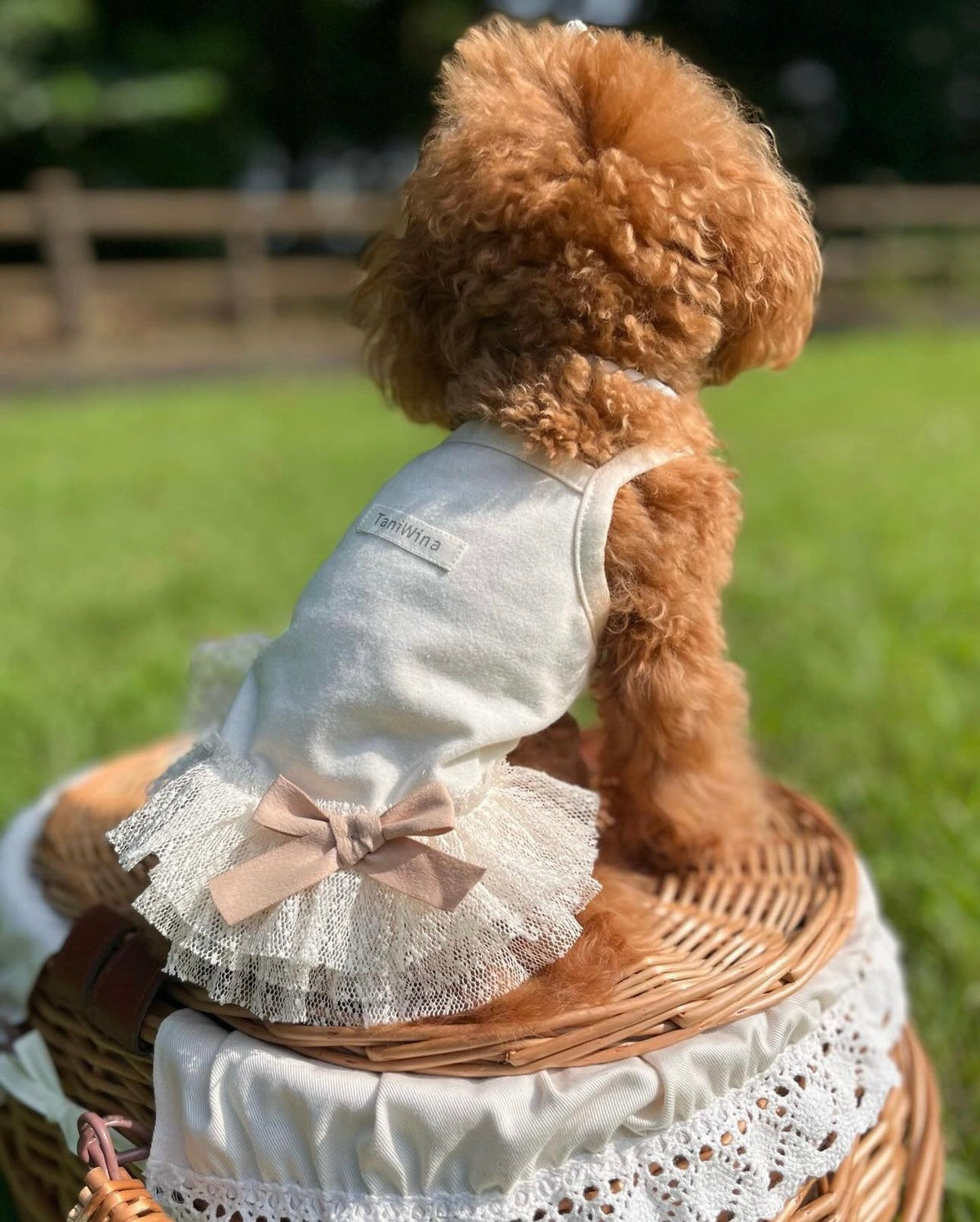 TaniWina Pet Clothes Starry Cotton Princess Suspender Skirt for Small Dog Clothes