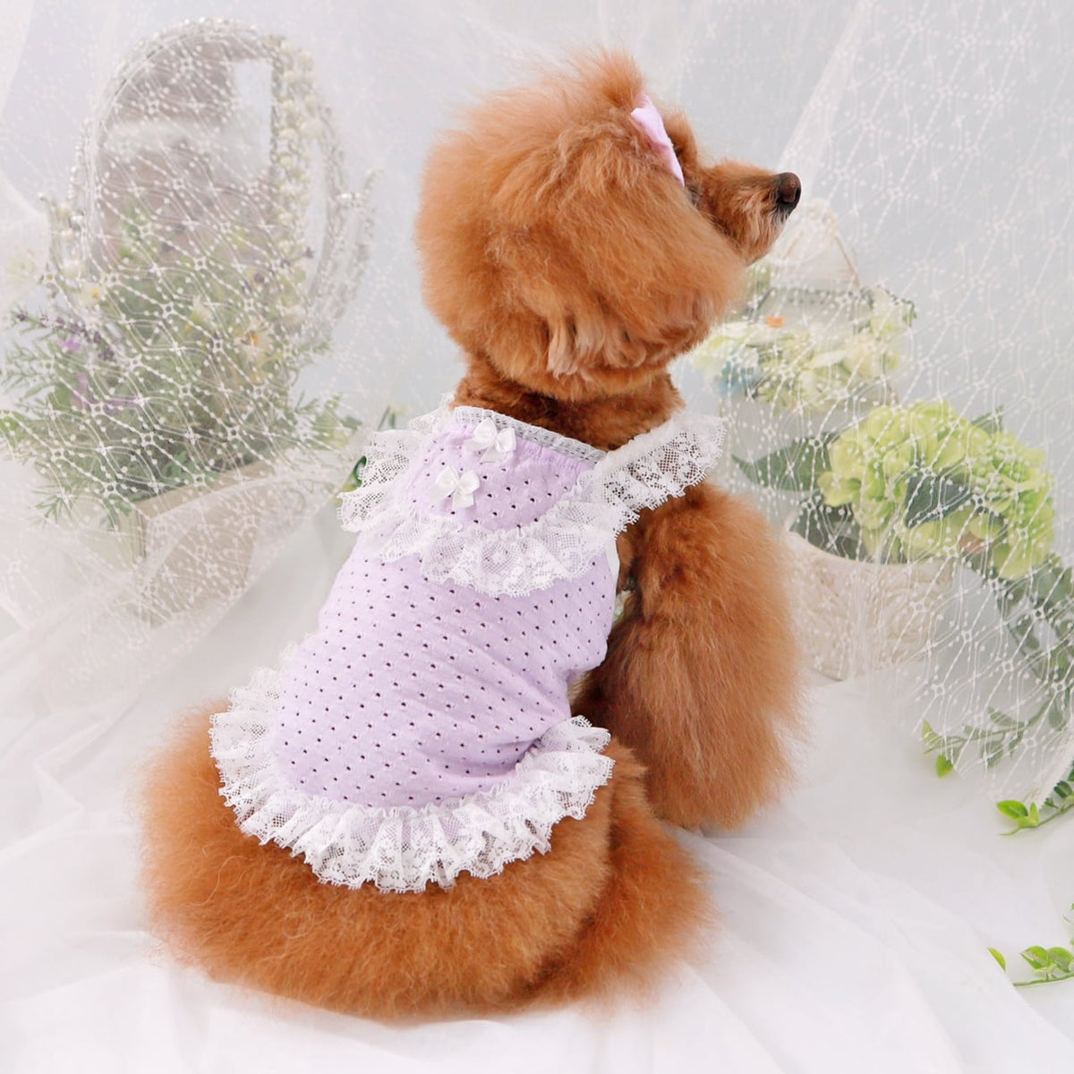 TaniWina Macarons Color Lace Vest Pet Clothes for Small Dog | Maltese Yorkshire  Poodle Shihzu