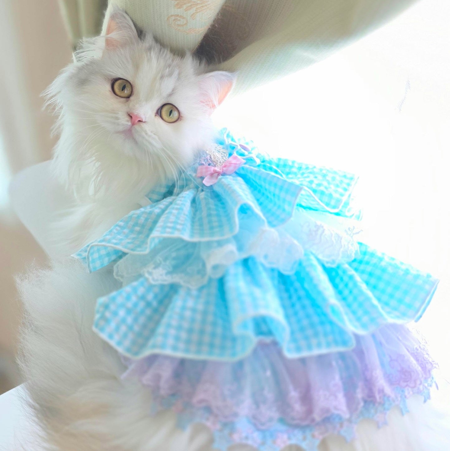 Elsamilu Blue Gingham Lace Princess Dress
