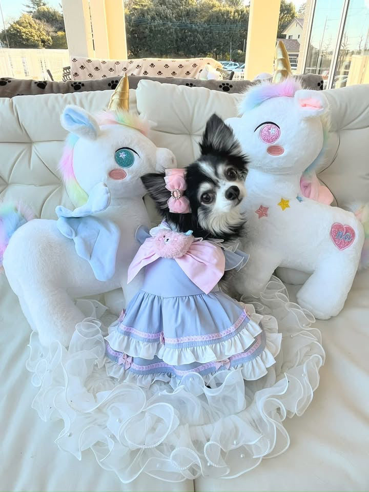 Elsamilu Girly Sailor Ribbon Pet Dress – Cute Outfit with Plush Bow for Small Dogs & Cats
