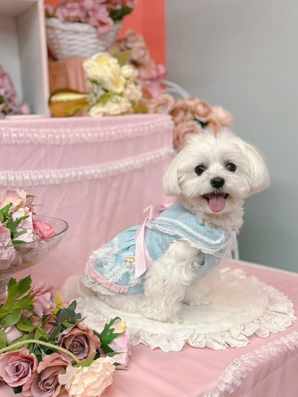 Elsamilu Romantic Blue Lace Bow Pet Dress – Elegant Outfit for Small Dogs & Cats