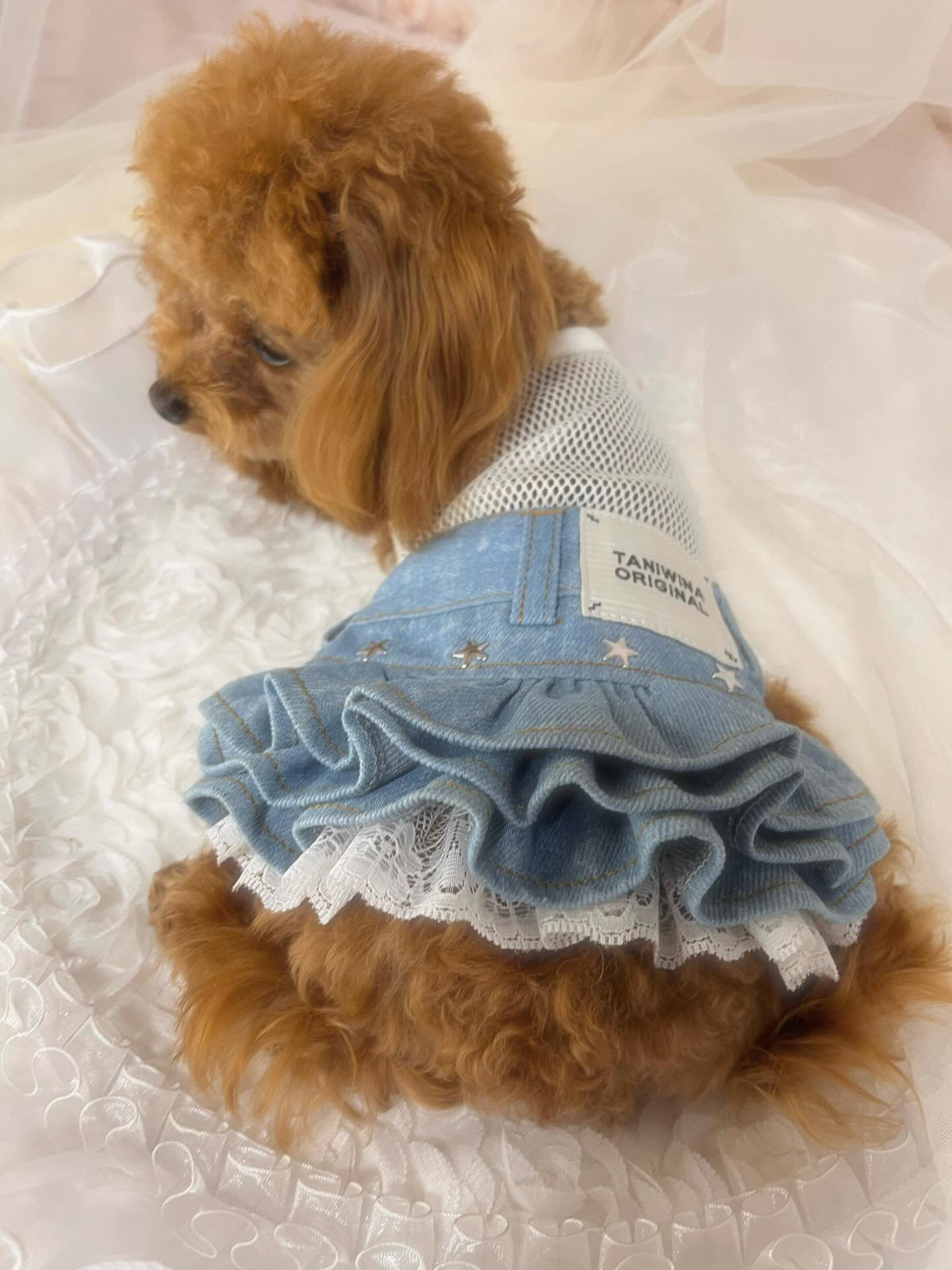 TaniWina PawDenim Petite Pup Inner Dress: Stylish Comfort for Small Dogs