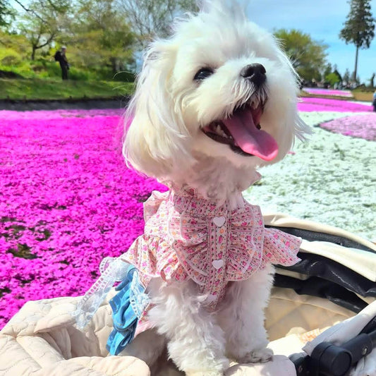 Elsamilu Pink Floral Docking Denim Pet Dress – Sweet Vintage Style Outfit for Small Dogs & Cats