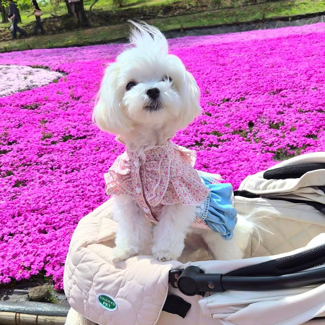 Elsamilu ピンクフローラルドッキングデニムペットドレス – 小型犬＆猫用スイートヴィンテージスタイル