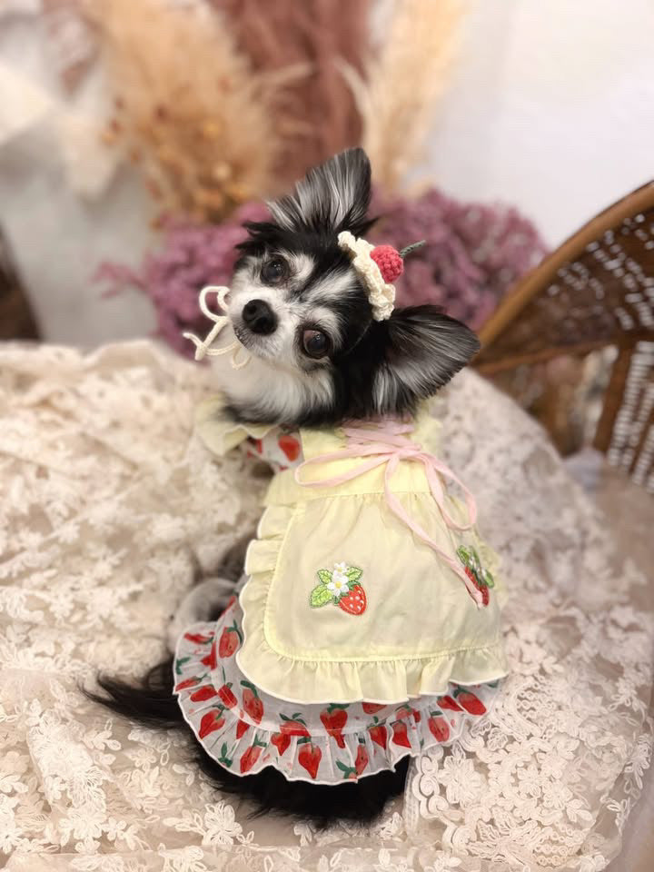 Elsamilu Sweet Strawberry Lace-Up Pet Dress – Cute Summer Outfit for Small Dogs & Cats