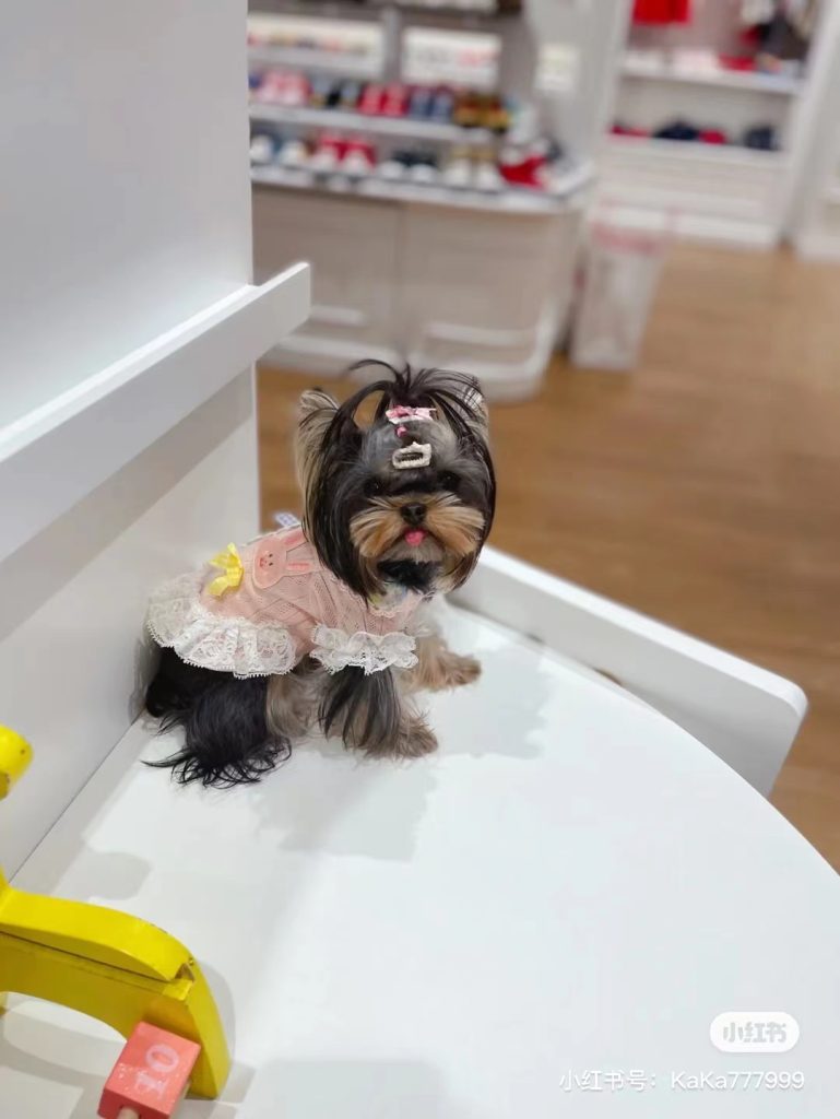 Customer photo shared with Elsamilu