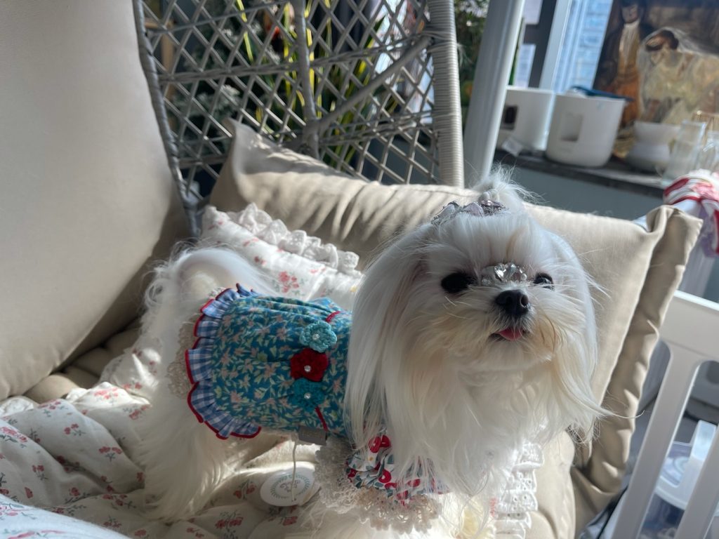 Customer photo shared with Elsamilu
