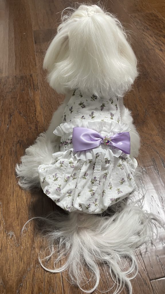 Customer photo shared with Elsamilu