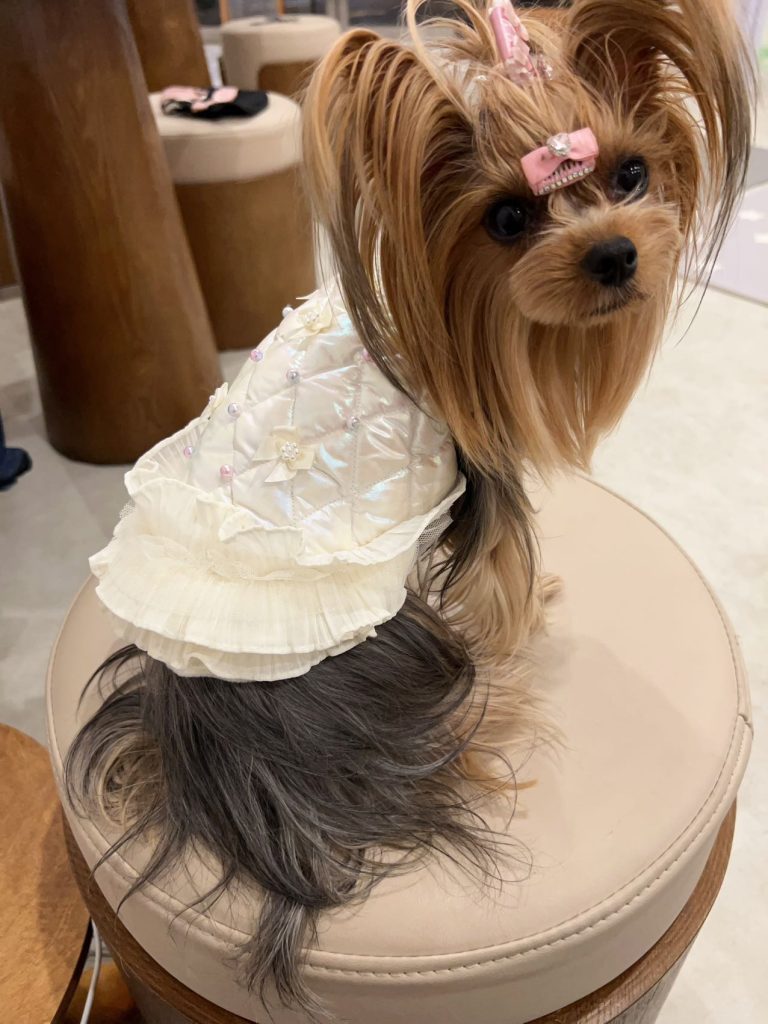 Customer photo shared with Elsamilu