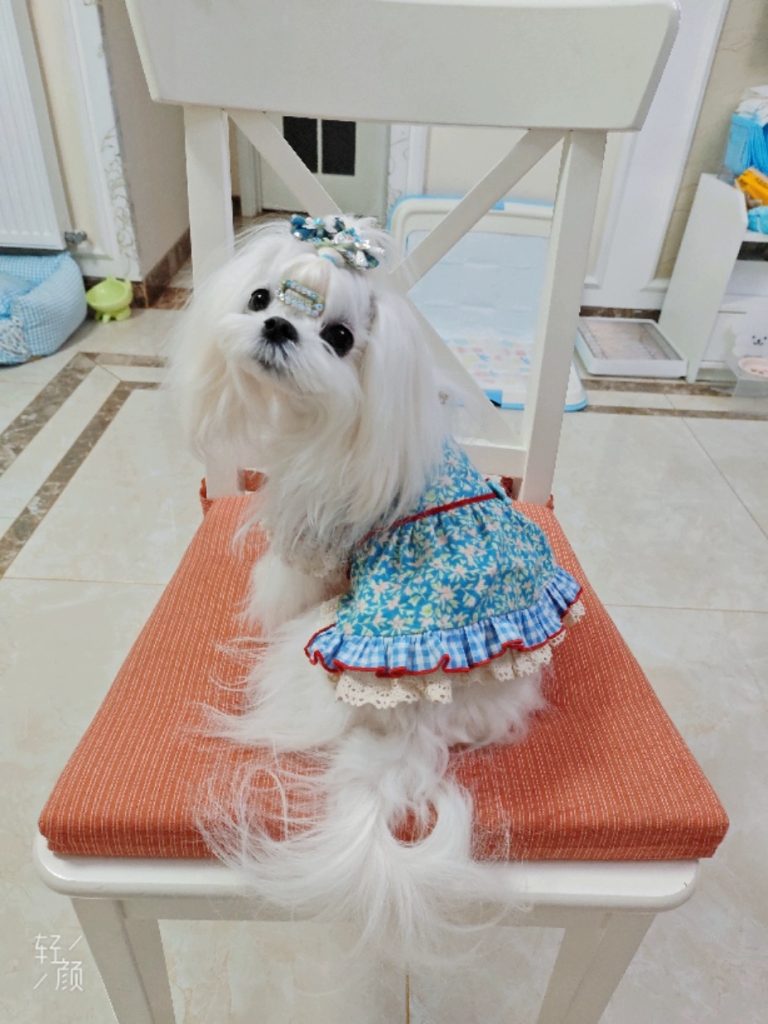 Customer photo shared with Elsamilu